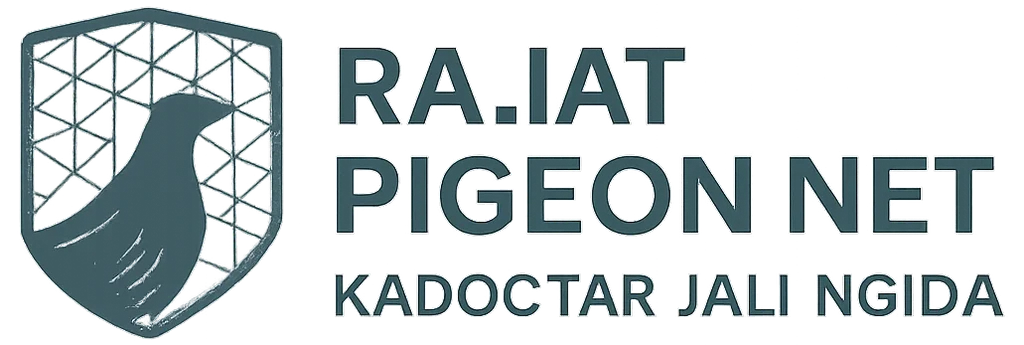 Rajat Pigeon Net – Kabootar Jali Noida